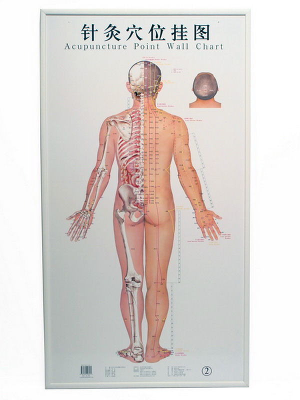 cuadro ilustracion acupuntura madera 109x59.5x1.5 1u